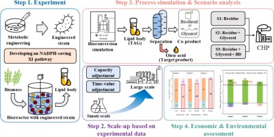 Oleyl Alcohol industry insight
