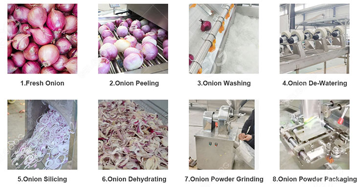 Onion Powder industry insight