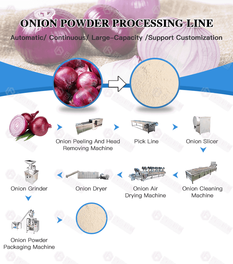 Onion Powder industry insight
