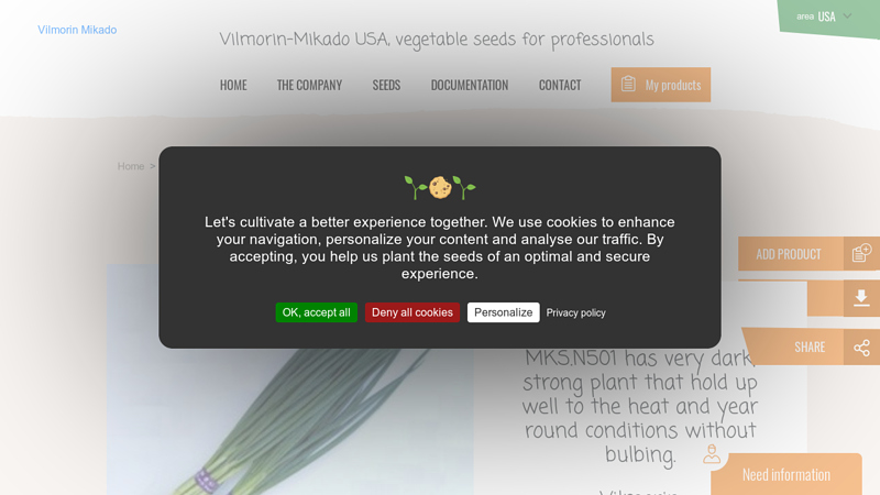 Onion Round White Bunching MKS.N501 F1