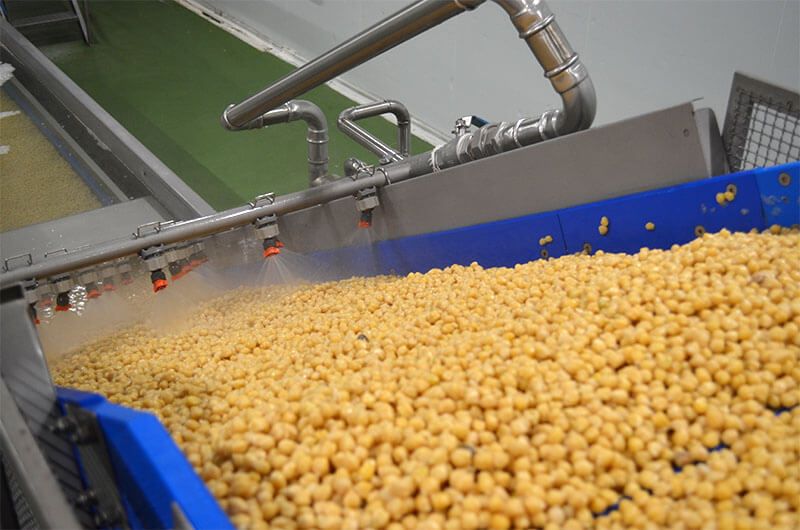 Organic Garbanzo Beans Dried industry insight