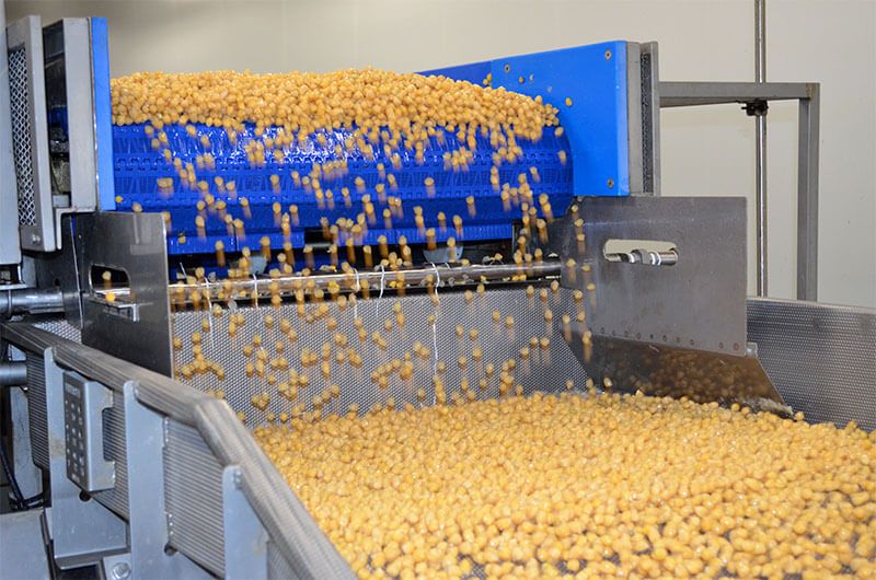 Organic Garbanzo Beans Dried industry insight