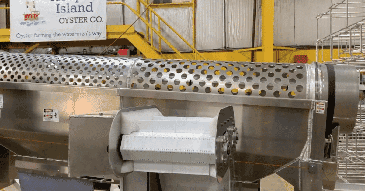 Oyster Tins industry insight