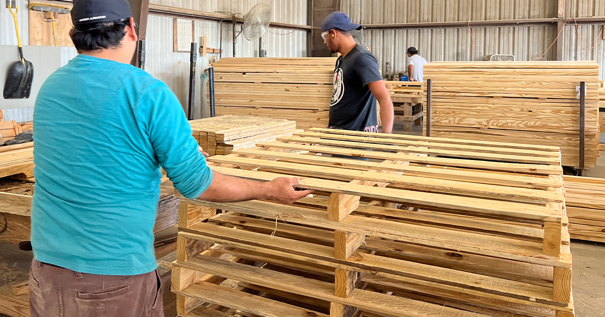 Pallets For Shipping industry insight