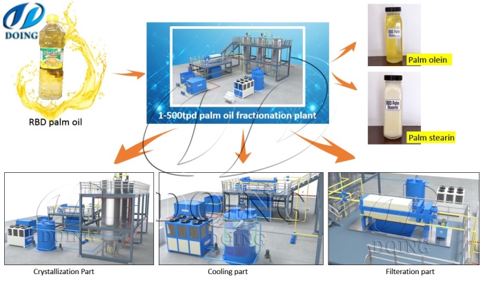 Palm Bottle industry insight