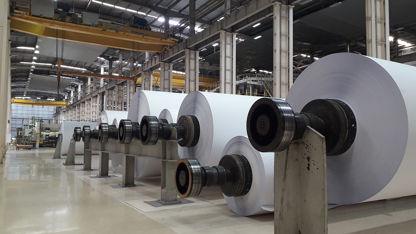 Paper Adding Machine industry insight