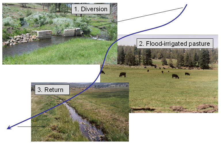 Pasture Irrigation Systems industry insight