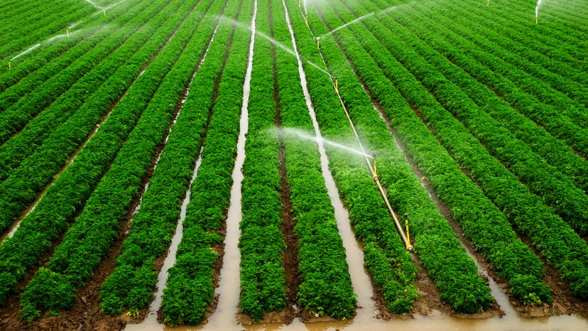 Pasture Irrigation Systems industry insight