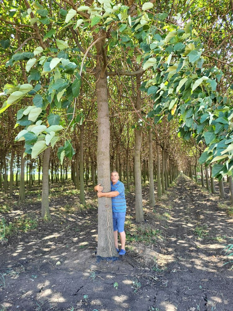 Paulownia.Energy