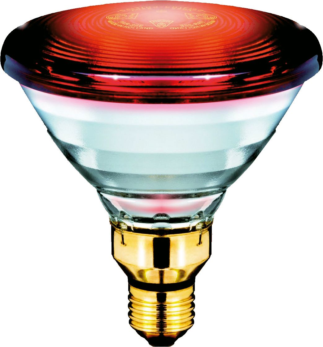 Philips Infrared Lamps Human Use