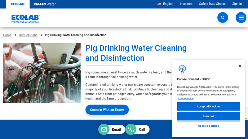 Pig Drinking Water Cleaning and Disinfection Solutions