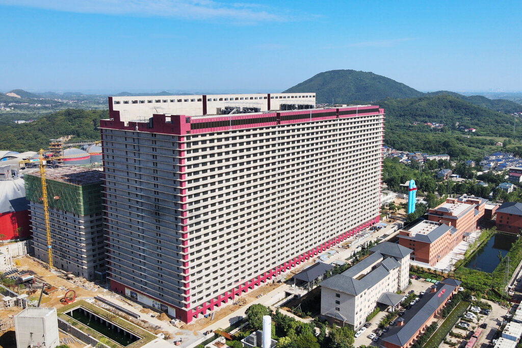 Pig Farming & Pork Industry