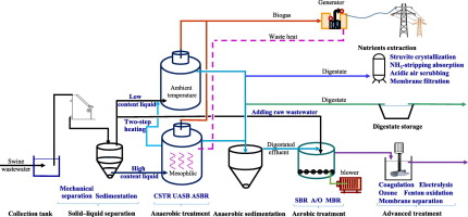 Piggery Water System industry insight