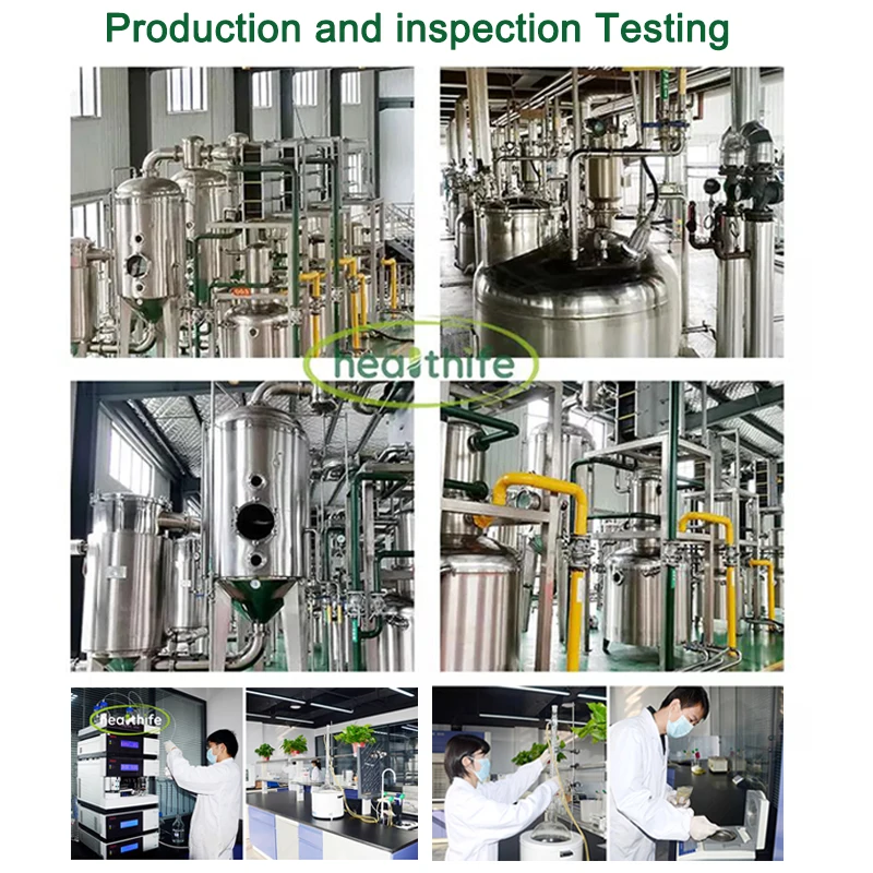 Pitaya Fruit Powder industry insight