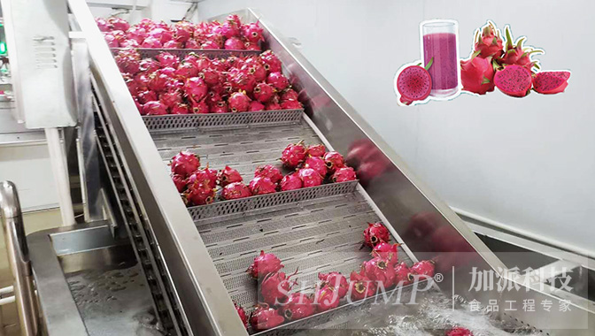 Pitaya Fruit Powder industry insight