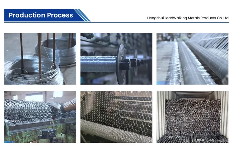 Plastic Chicken Fence industry insight