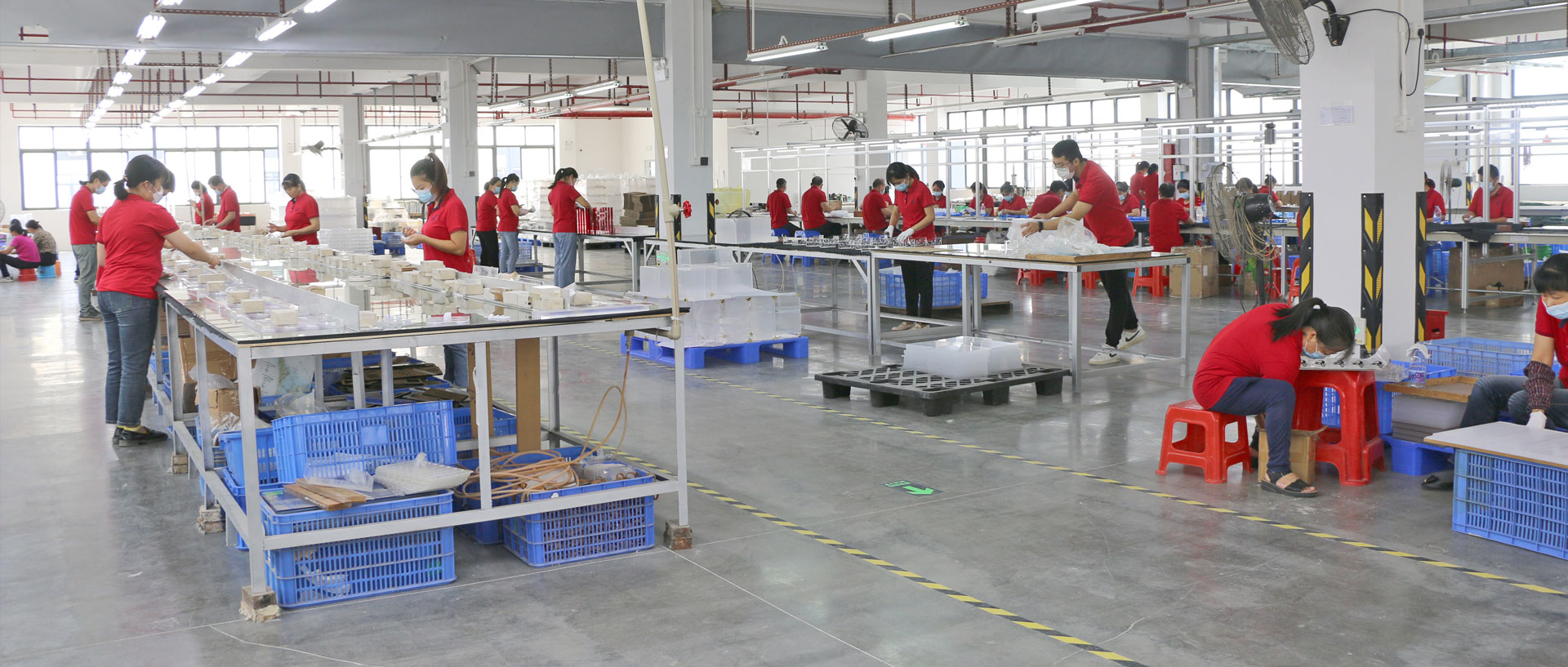 Plexi Display Case industry insight