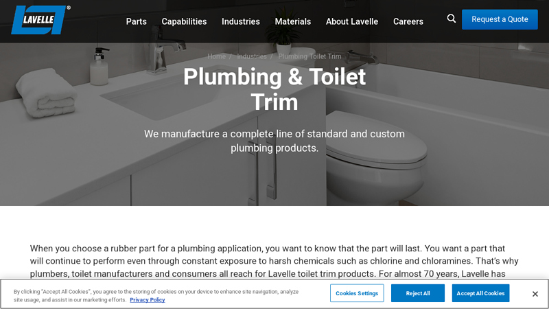 Plumbing & Toilet Trim
