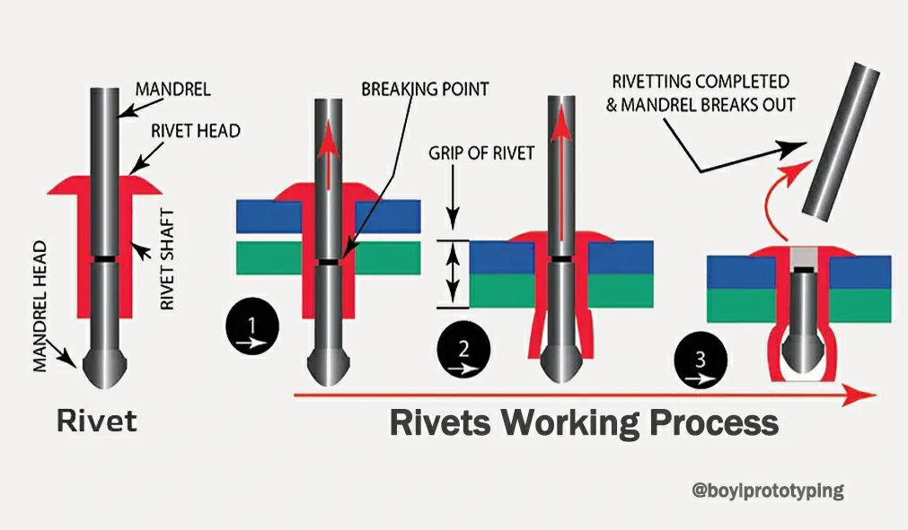 Pop Rivet Sizes industry insight
