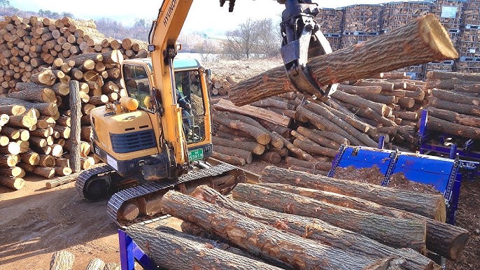 Poplar Wood For Firewood industry insight