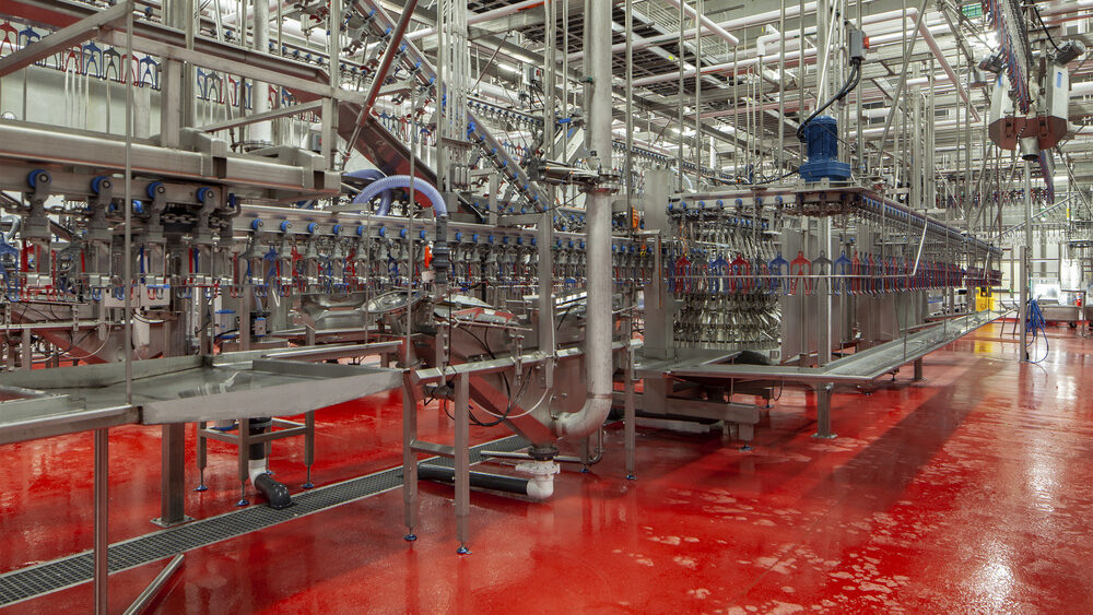 Poultry Processing Equipment industry insight