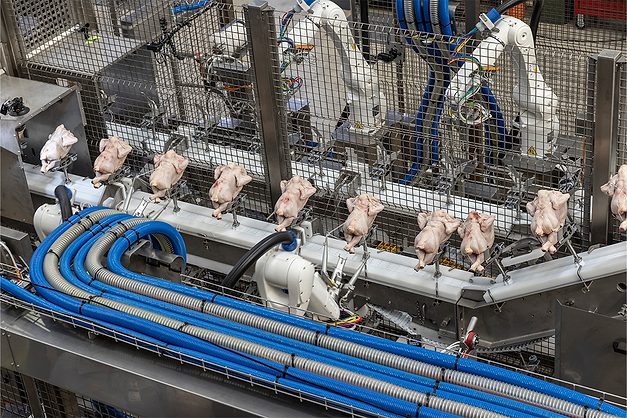 Poultry Processing Equipment & Solutions