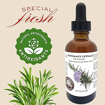 Prevent Oxidation and Naturally Keep your Products Fresh with ...