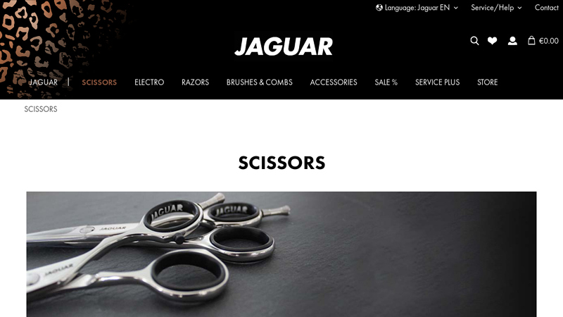 Professional Hair Scissors