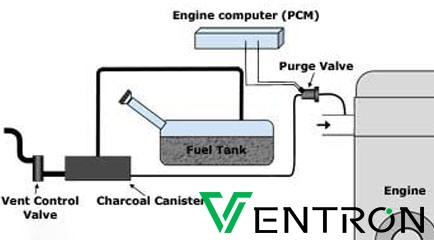 Purge Canister Vent Valve industry insight
