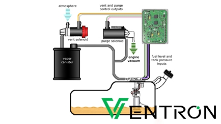 Purge Control Solenoid Valve industry insight