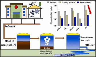 Quaternary Ammonium Disinfectant industry insight