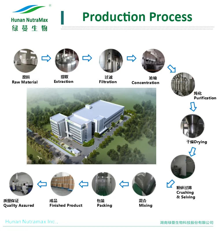 Quercetin Powder industry insight