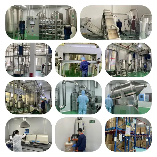 Quercetin Powder industry insight