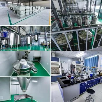 Quercetin Powder industry insight