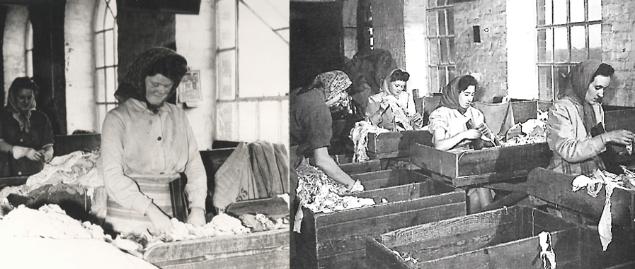 Rag Papaer industry insight