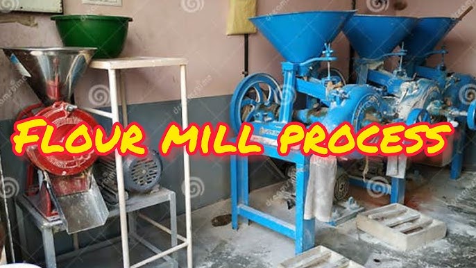Ragu Flour industry insight