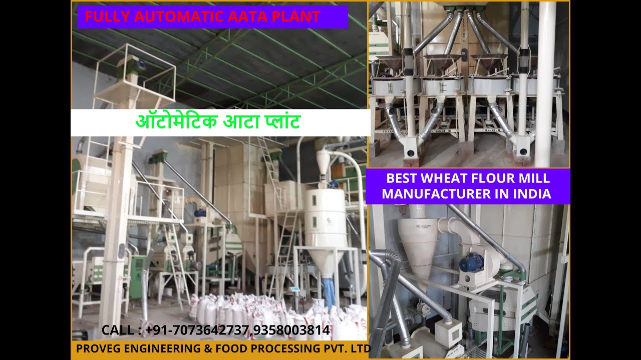 Ragu Flour industry insight