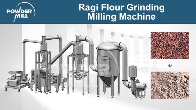 Ragu Flour industry insight