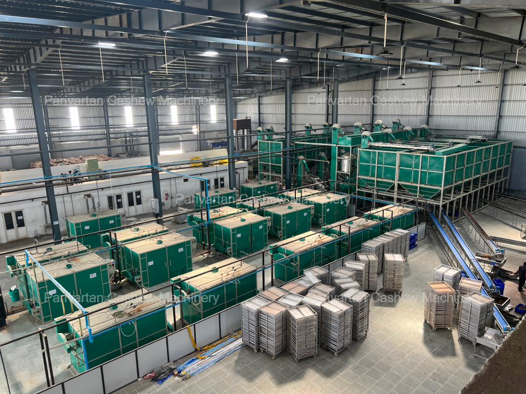 Raw Cashew Nut industry insight