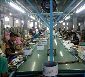 Rice Cooker Commercial industry insight