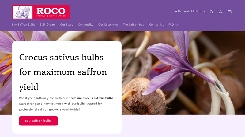 Roco Saffron