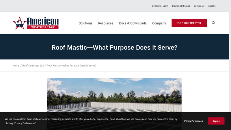 Roof Mastic—What Purpose Does It Serve?