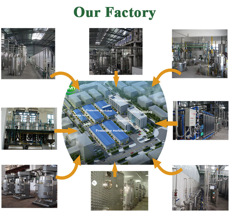 Salted Duck Egg Powder industry insight