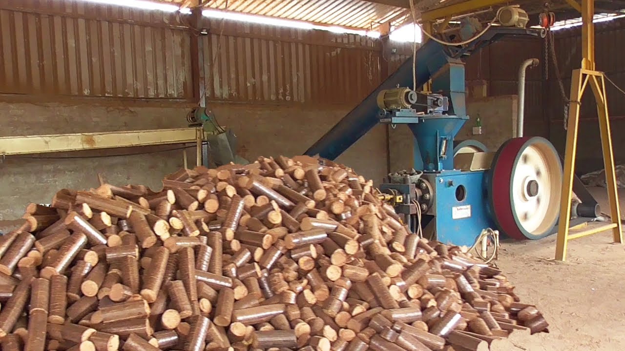 Sawdust Briquettes industry insight