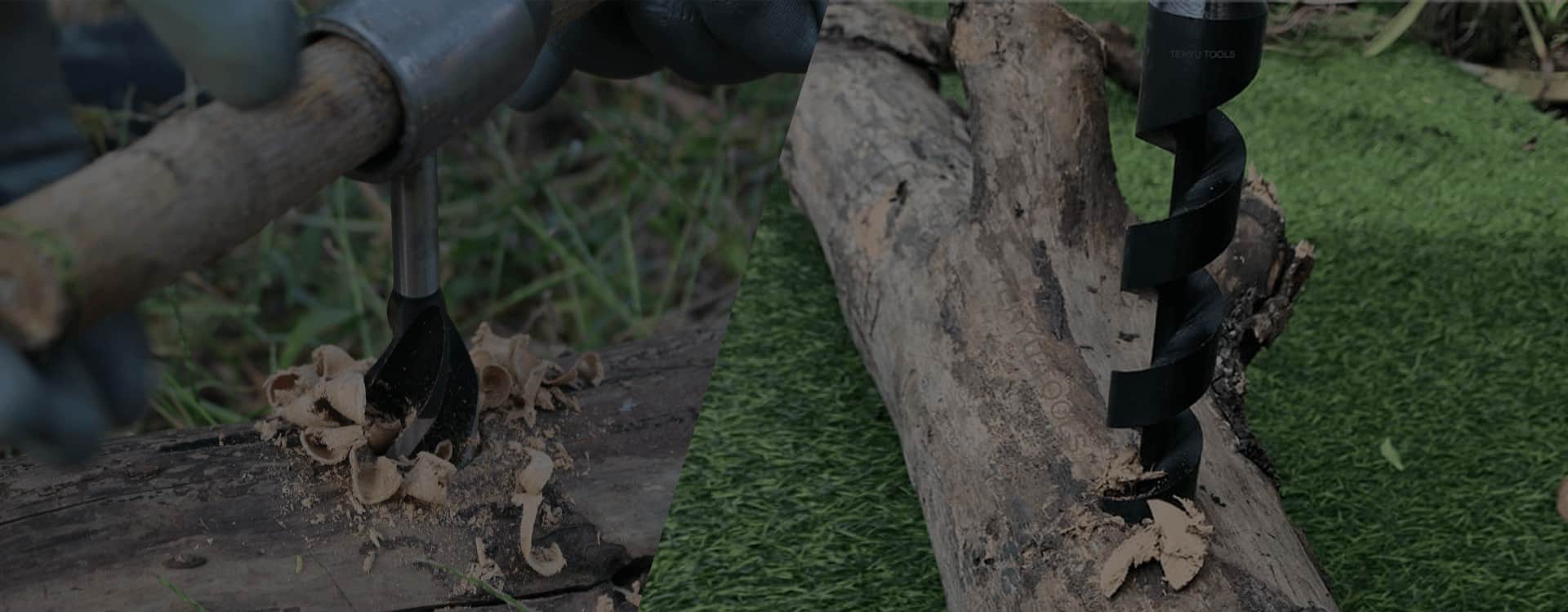 Scotch Eyed Auger industry insight