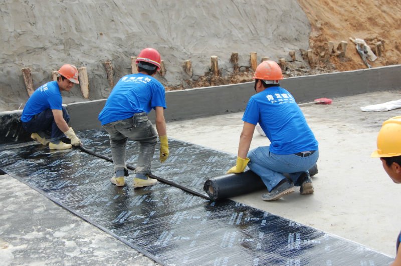 Sheet Waterproofing Membrane