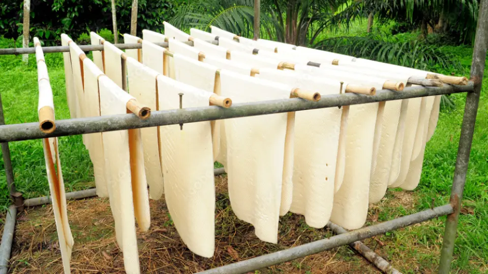 Sheets Of Rubber industry insight