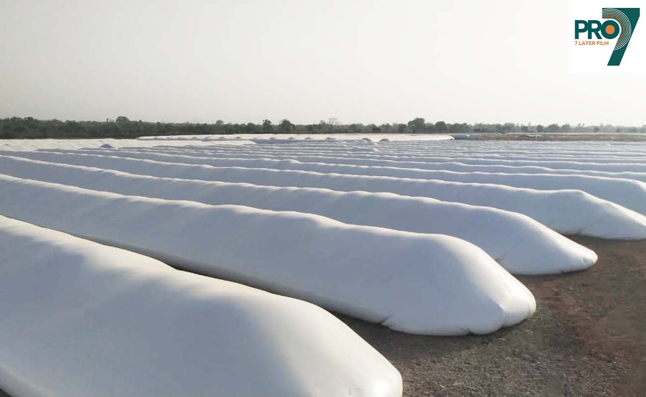 SILO BAG SOLUTIONS