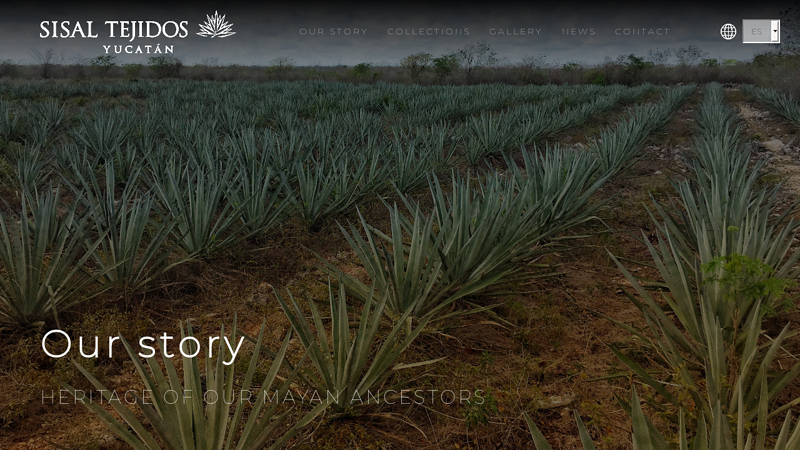 Sisal Tejidos Yucatán