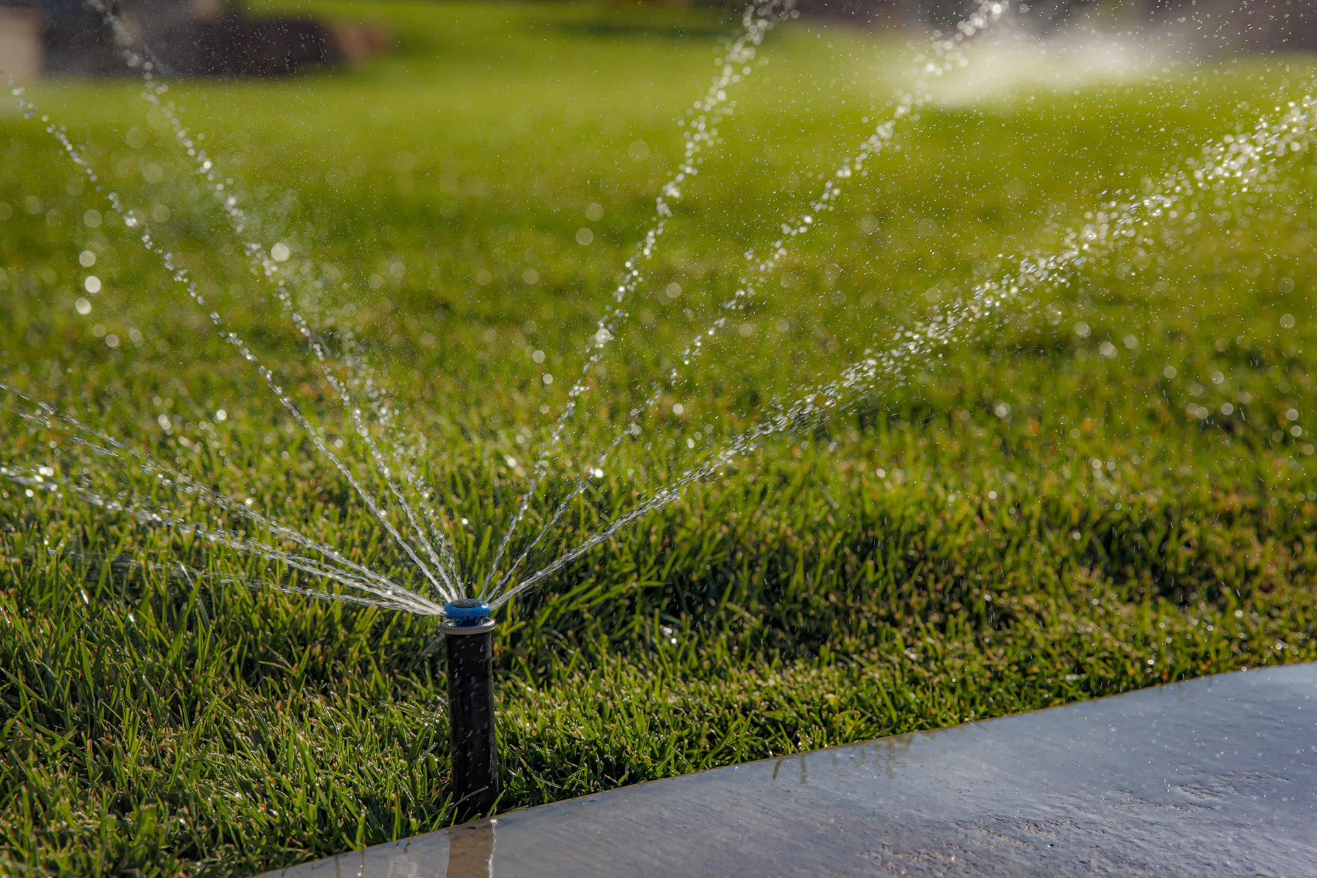 Smarter Irrigation with Thrive